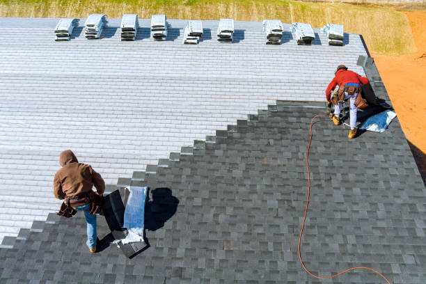 Best Roof Gutter Cleaning  in Springdale, NC