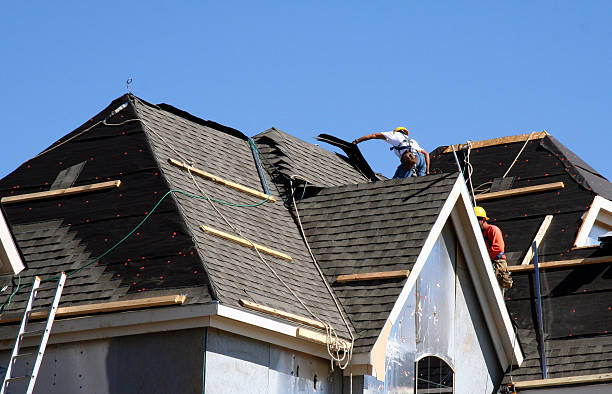 Best Gutter Installation and Roofing  in Springdale, NC