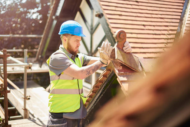Best Roof Gutter Cleaning  in Springdale, NC